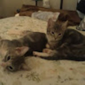 Meet your Posher, Christine